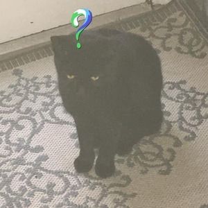 Meet your Posher, Masaharu